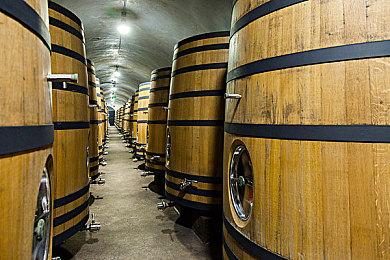 《逃离塔科夫》PvE模式将向所有玩家开放 6个月